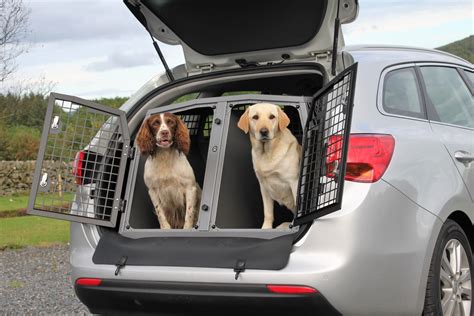 Pet transport .